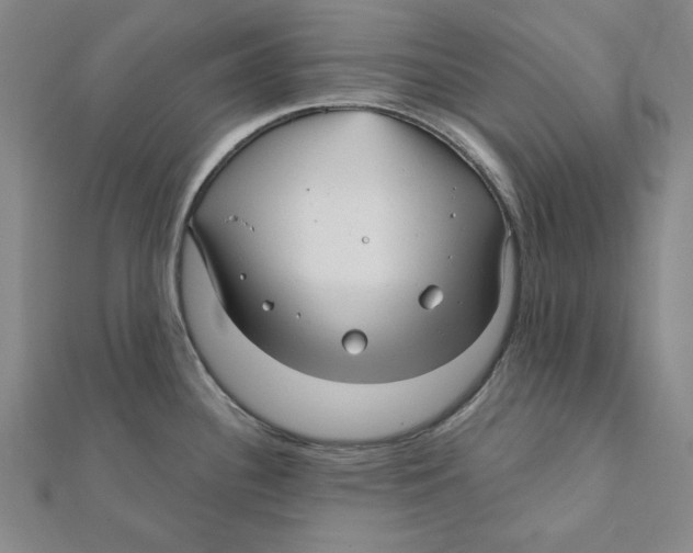 X0000111671340200908141421