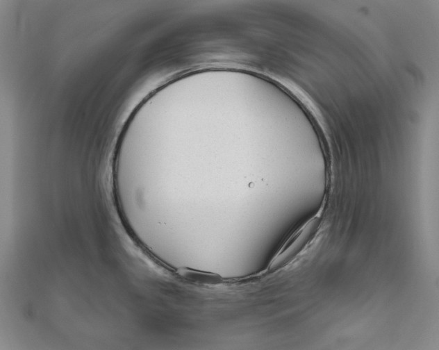 X0000111671341200908141421