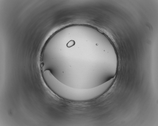 X0000111671342200908141421