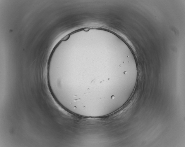 X0000111671343200908141421