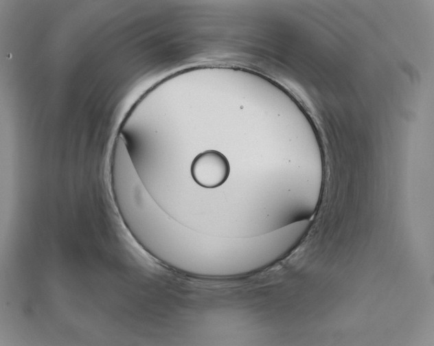 X0000111671344200908141421