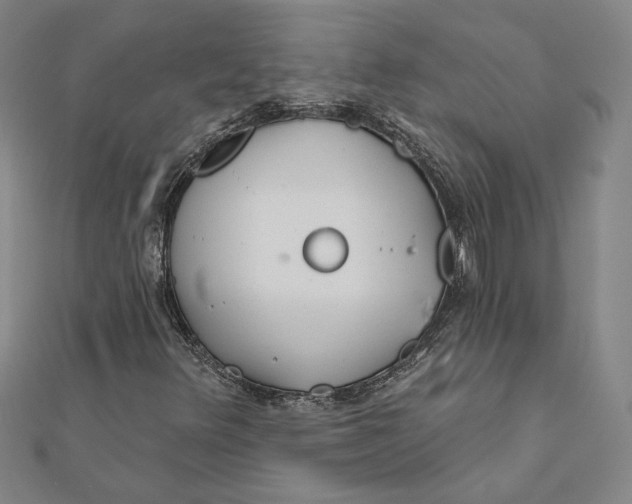 X0000111671348200908141420