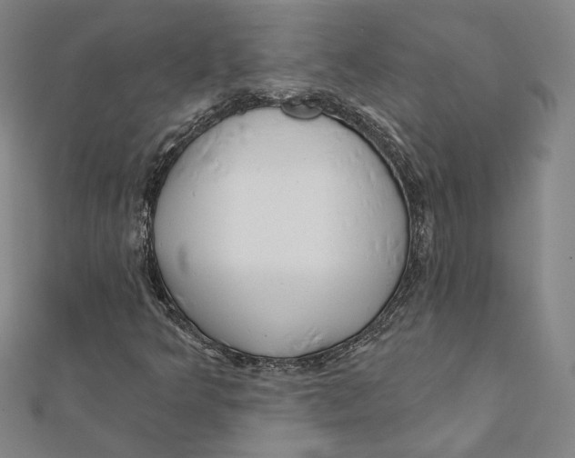 X0000111671349200908141420