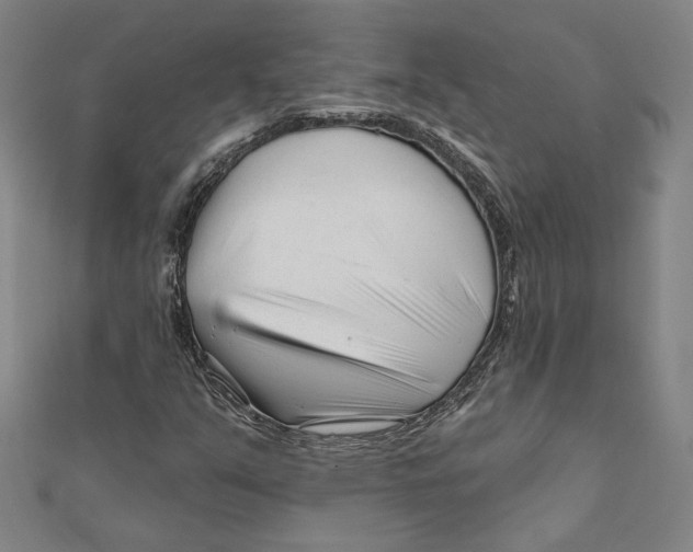 X0000111671351200908141420