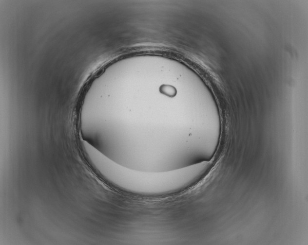 X0000111671357200908141420