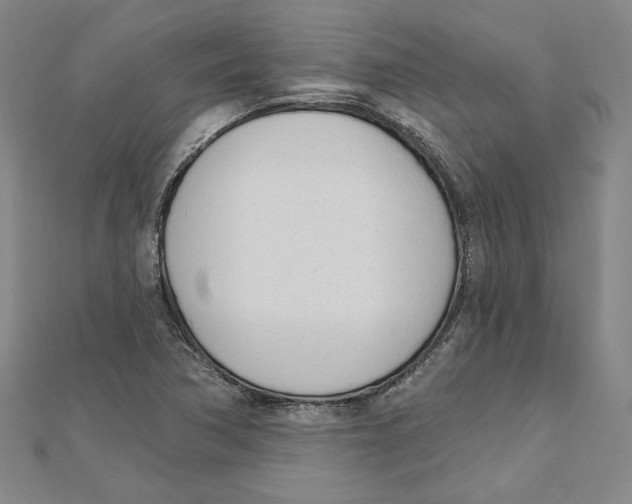 X0000111671362200908141420