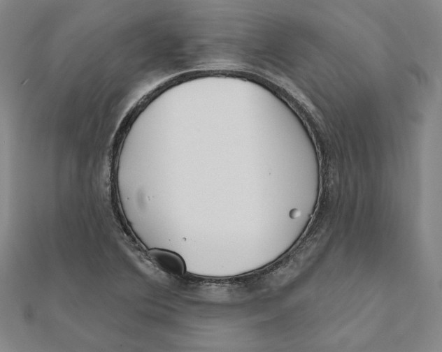 X0000111671364200908141420