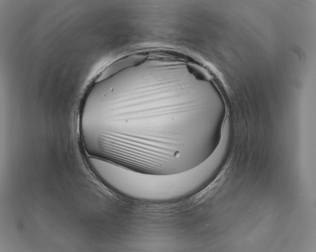 X0000111671365200908141420