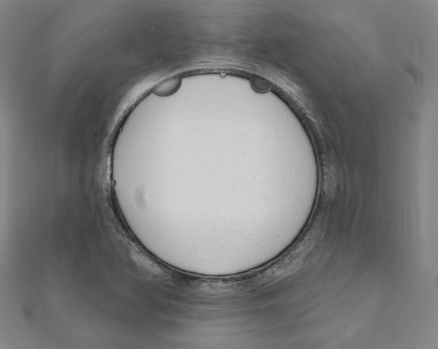 X0000111671366200908141420