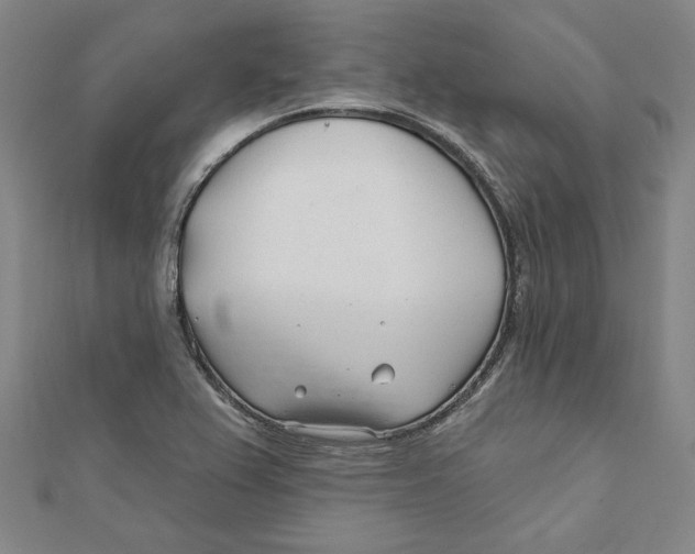 X0000111671367200908141420