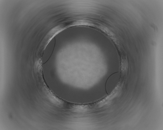 X0000111671369200908141420