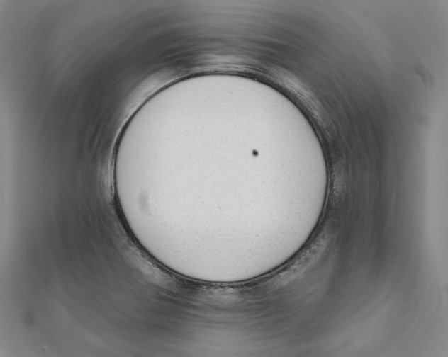 X0000111671370200908141420