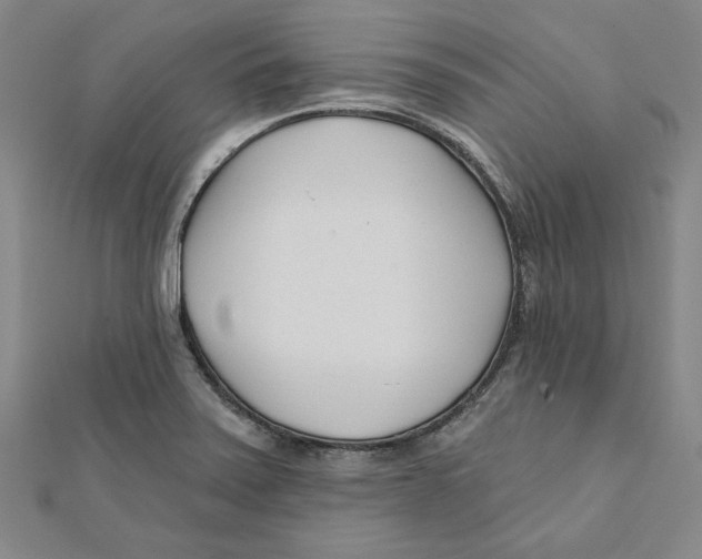 X0000111671371200908141420