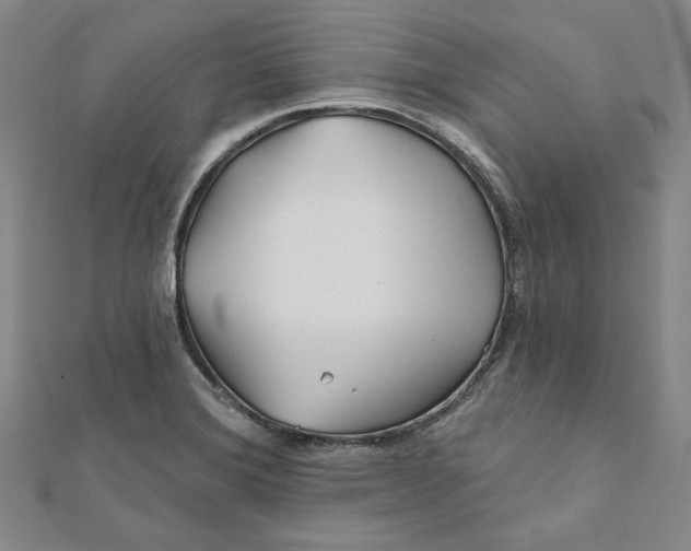 X0000111671372200908141420