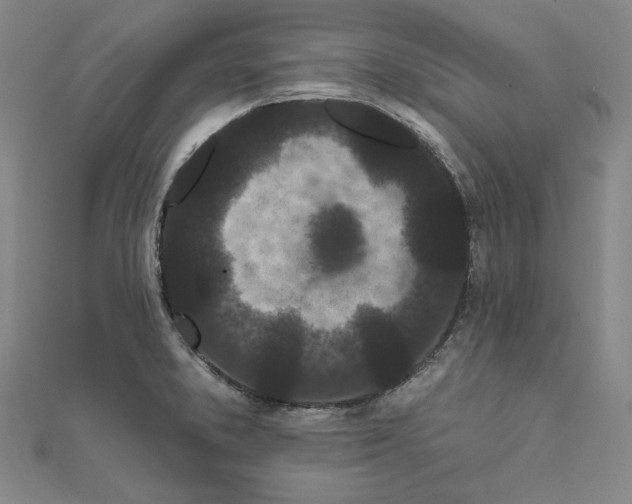 X0000111671373200908141420