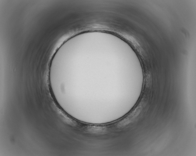 X0000111671374200908141420