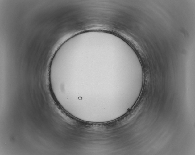 X0000111671375200908141420