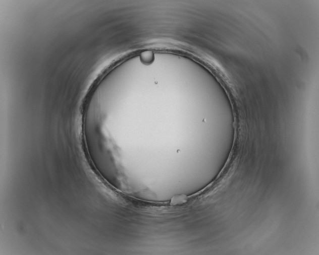 X0000111671376200908141420