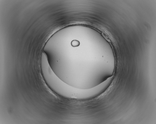 X0000111671377200908141420