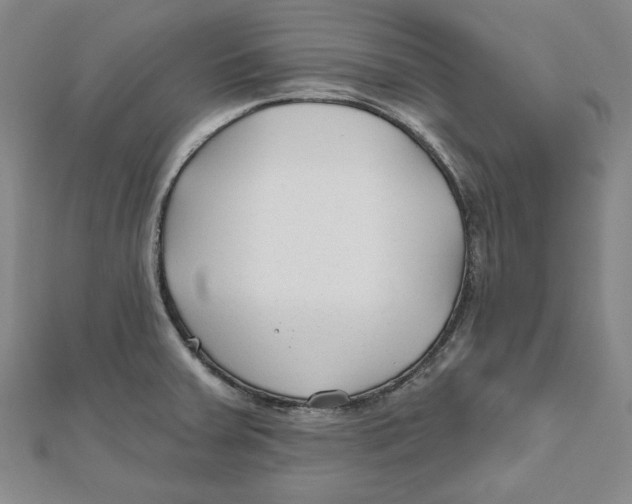 X0000111671379200908141420