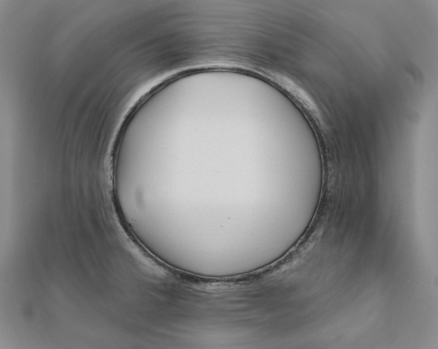 X0000111671380200908141420