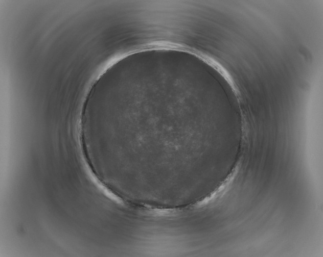 X0000111671381200908141420