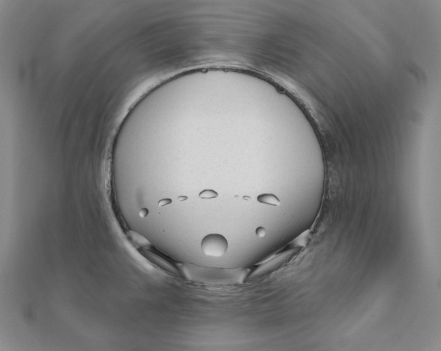 X0000111671383200908141420