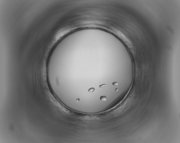 X0000111671384200908141420