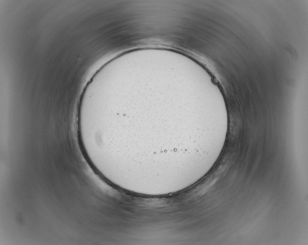 X0000111671387200908141420