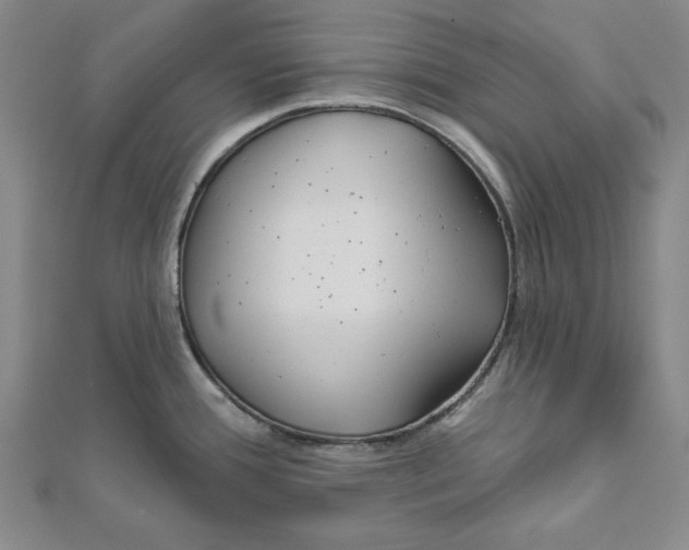 X0000111671388200908141419