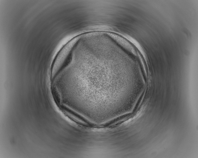 X0000111671389200908141419