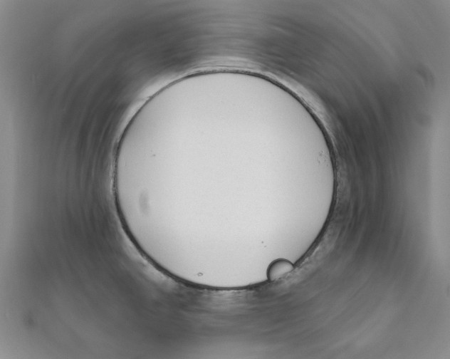 X0000111671390200908141419