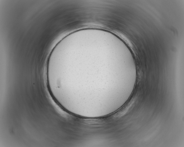 X0000111671391200908141419