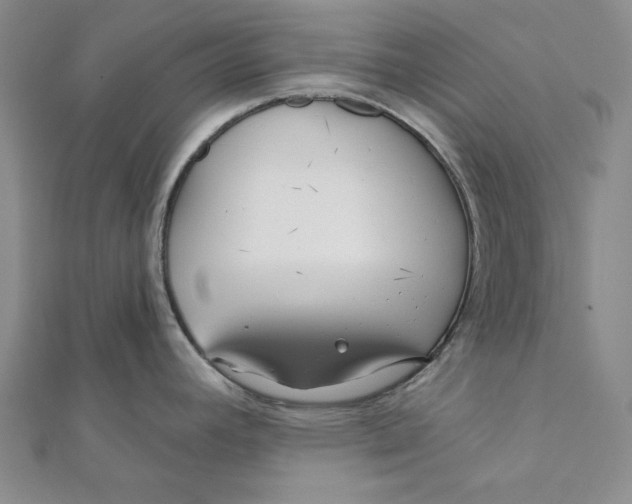 X0000111671392200908141419