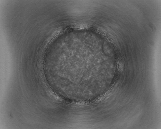 X0000111671393200908141418