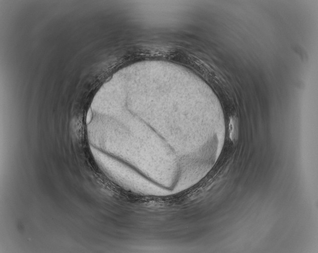 X0000111671395200908141419