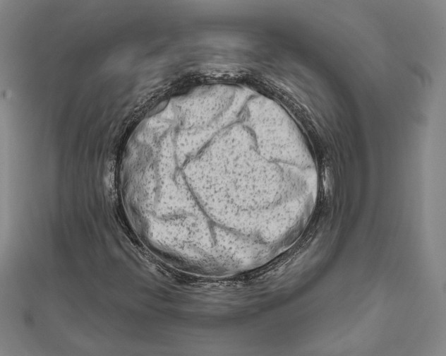 X0000111671396200908141419