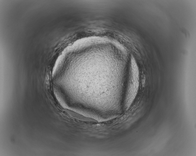 X0000111671397200908141419