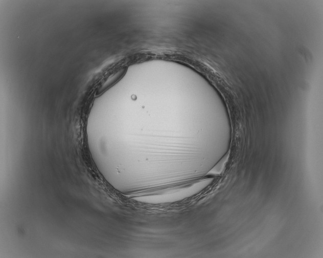 X0000111671398200908141419