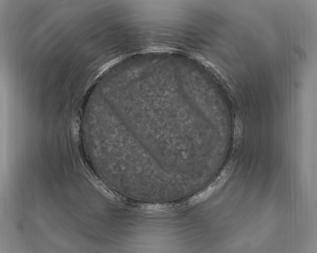 X0000111671401200908141419