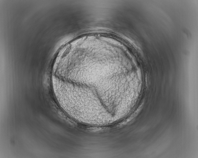 X0000111671405200908141419