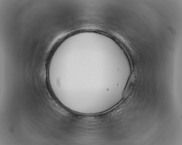 X0000111671408200908141419