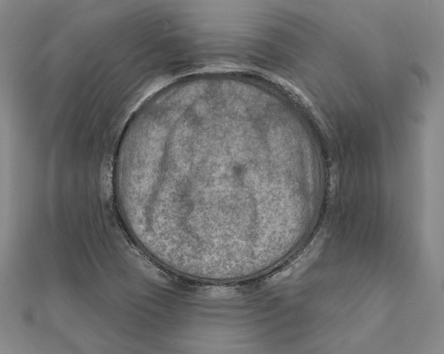 X0000111671409200908141419