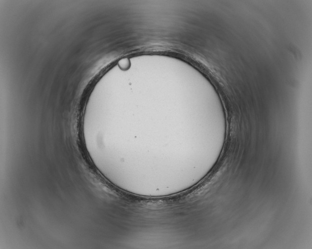 X0000111671410200908141419