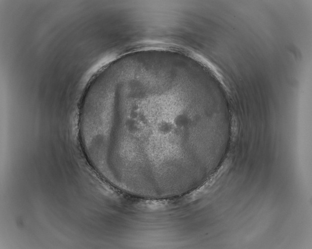 X0000111671411200908141419