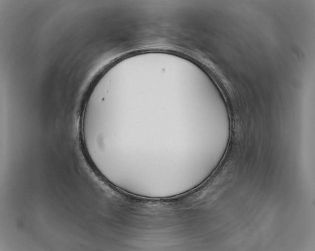 X0000111671416200908141419