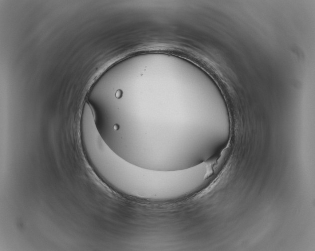 X0000111671417200908141419