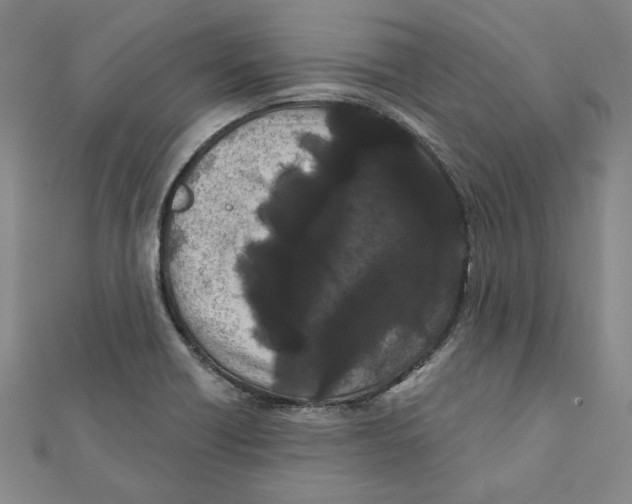 X0000111671418200908141419