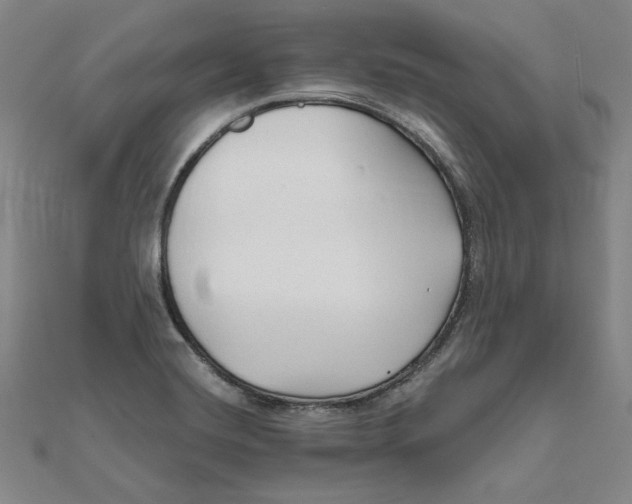 X0000111671420200908141419