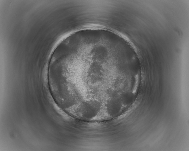 X0000111671421200908141419